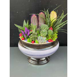 ÖZEL CANLI TERARYUM